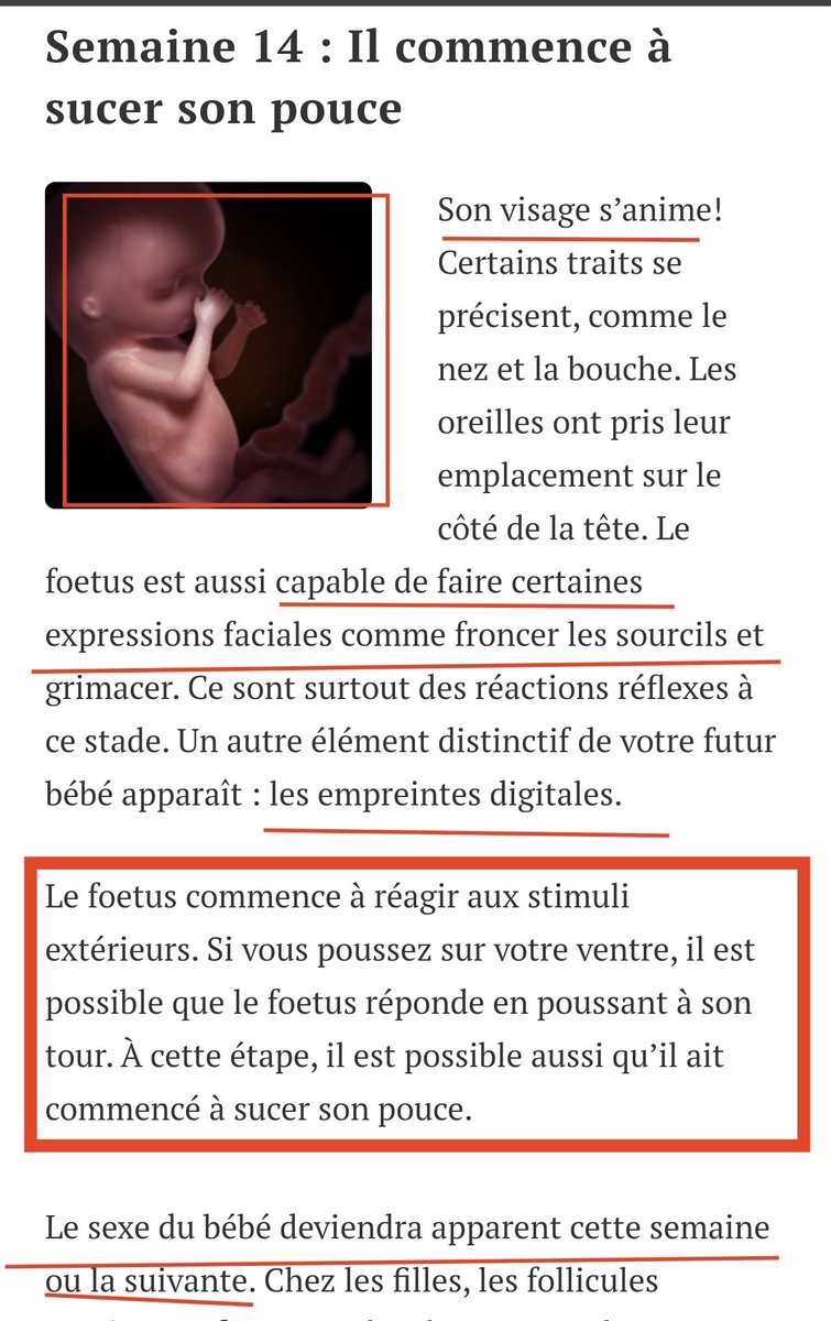 isabel7400's tweet photo. Je suis pour que la femme puisse avoir le droit à l'avortement, mais 14 semaines.... C'est quand même beaucoup, ce n'est plus un spermatozoïde à ce stade là.. c'est un bébé. Protégez vous les amies 🙏. https://t.co/P4hB07PHNh