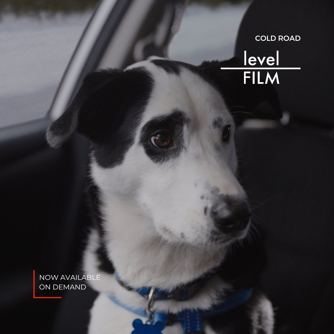 Route504PR's tweet photo. 🎞️ Now available on digital and on demand, Kelvin Redvers' (@867Kelvin) COLD ROAD (@levelFILM). 🎞️ 

On a frozen highway in the remote Canadian North, an Indigenous woman (@R_Supernault) and her dog are hunted by a stranger in a semi truck. https://t.co/pdxsGmVOTj