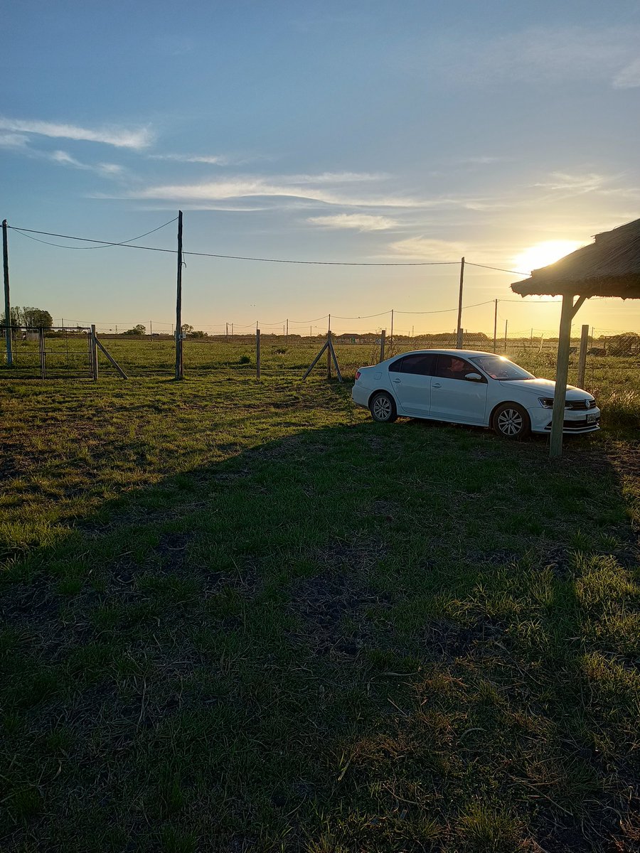 lean_5's tweet image. 