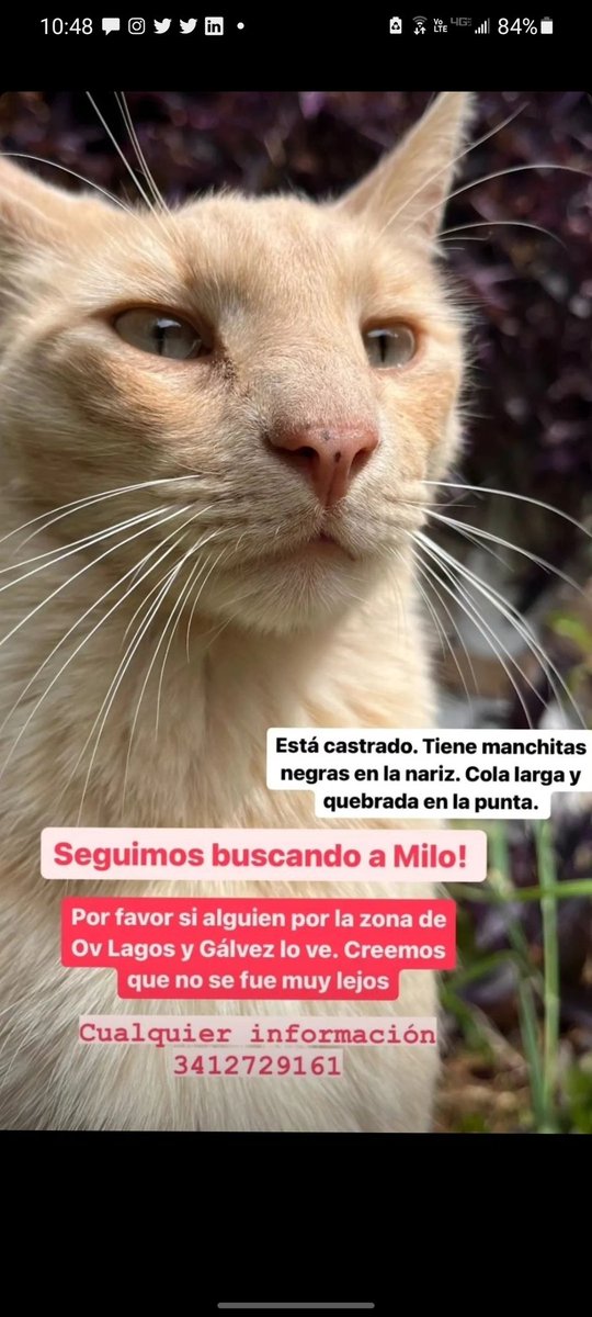 ♡ Bαrbαrα tweet media