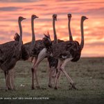 Photo by National Geographic FR (@NatGeoFR)