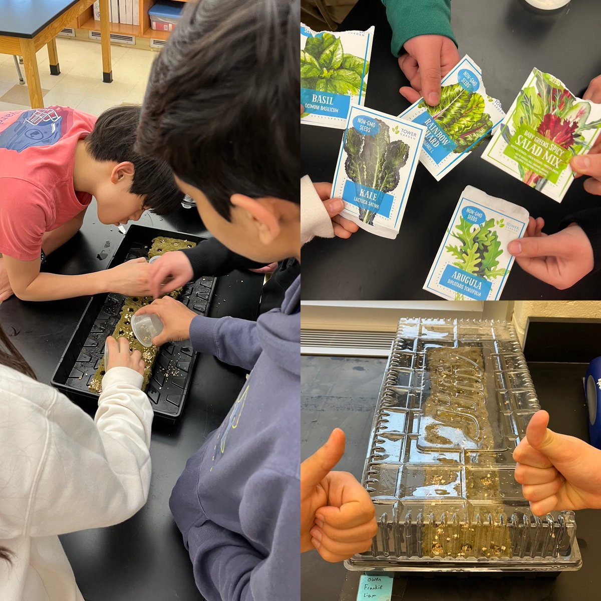 @WPSEisenhower Environmental Club prepares rockwool cubes with seeds to germinate for our vertical garden. Students can’t wait to have a ready supply of kale and chard for afternoon snack!