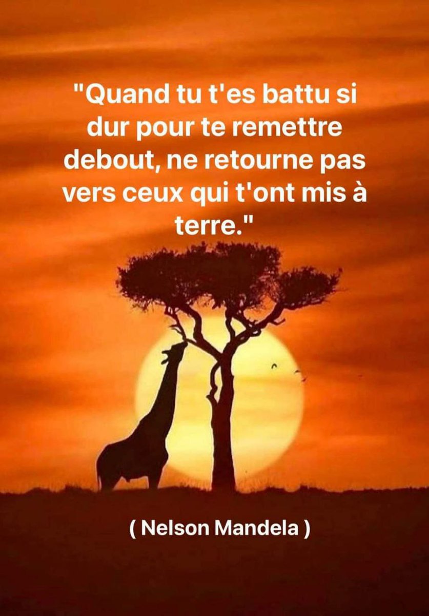 lefonceur971's tweet photo. Regarde ce post  incroyable 
avec #lefonceur et #amvidutrading 
#ToutEstPossible avec un bon #mindset , 
 #ViseTesObjectifs
.
Abonne-toi pour plus d'inspiration  et de #motivation.
N'hésite  pas à  commenter ce post 
 #crowdfunding #argent  #trading  #SpanChikou  #écoSystème https://t.co/QmHyahpTyp