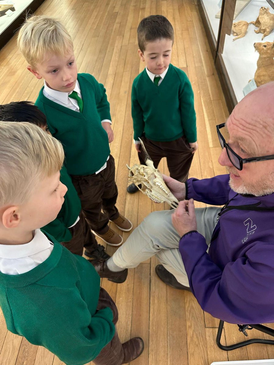 Yr 2 had a great day at Tring’s Natural History Museum. They explored the fascinating galleries, took part in a Polar Exploration workshop about adaptation & handled some amazing specimens such as an albatross’ skull & part of a blue whale’s rib bone. #year2 #coed @isaschools