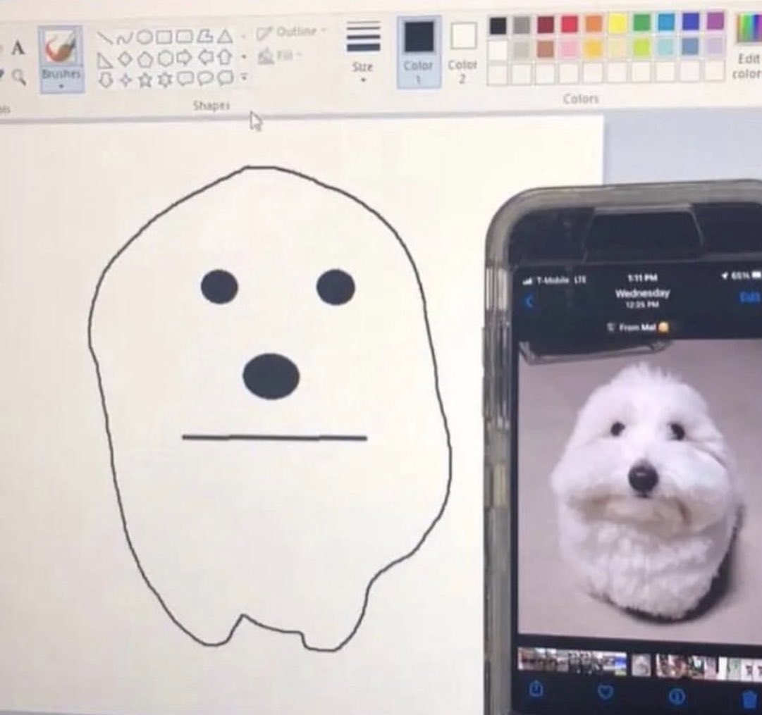 twaniimals's tweet photo. https://t.co/D0qj6oic9A