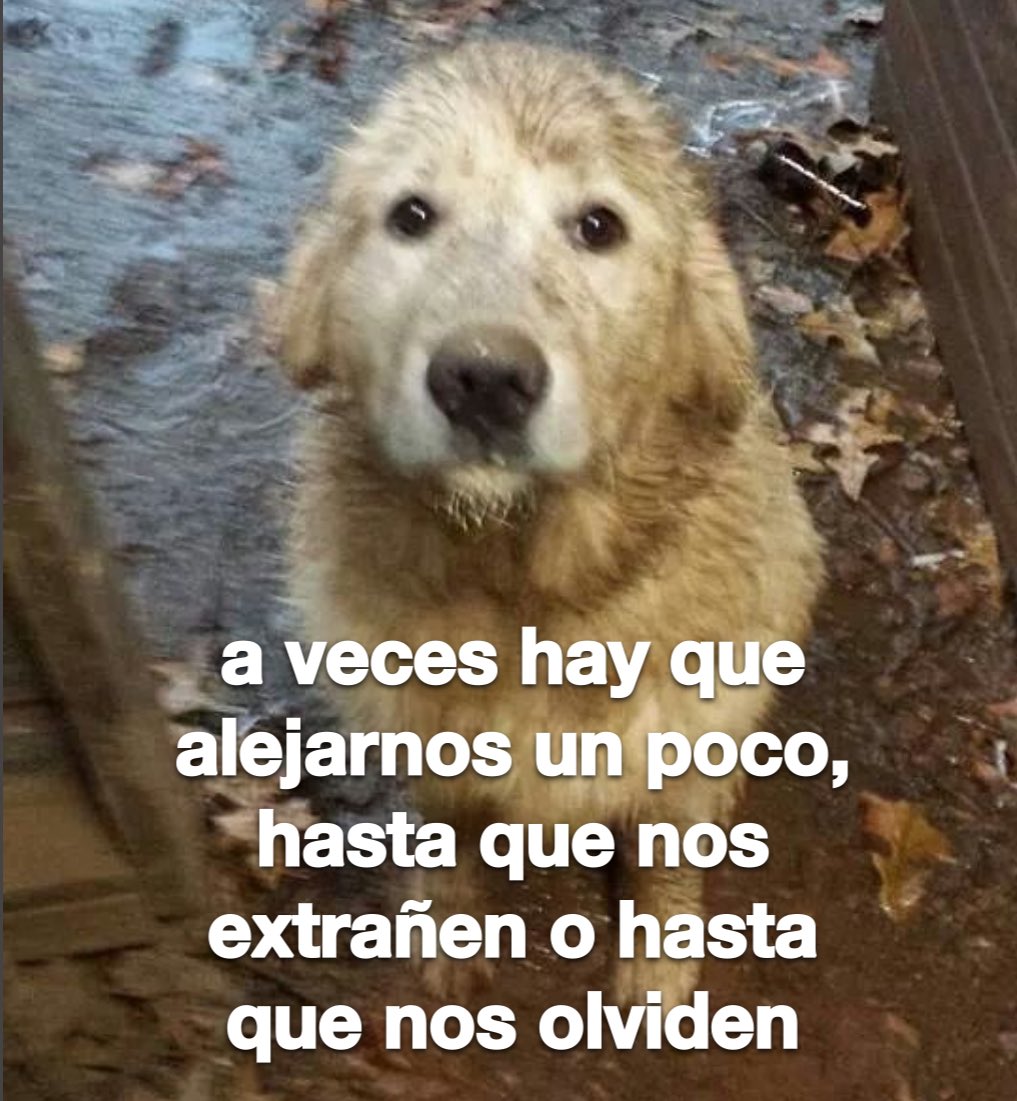 conoloracigarro's tweet photo. hasta que nos extrañen o hasta que nos olviden https://t.co/uZ9yvF2PUX