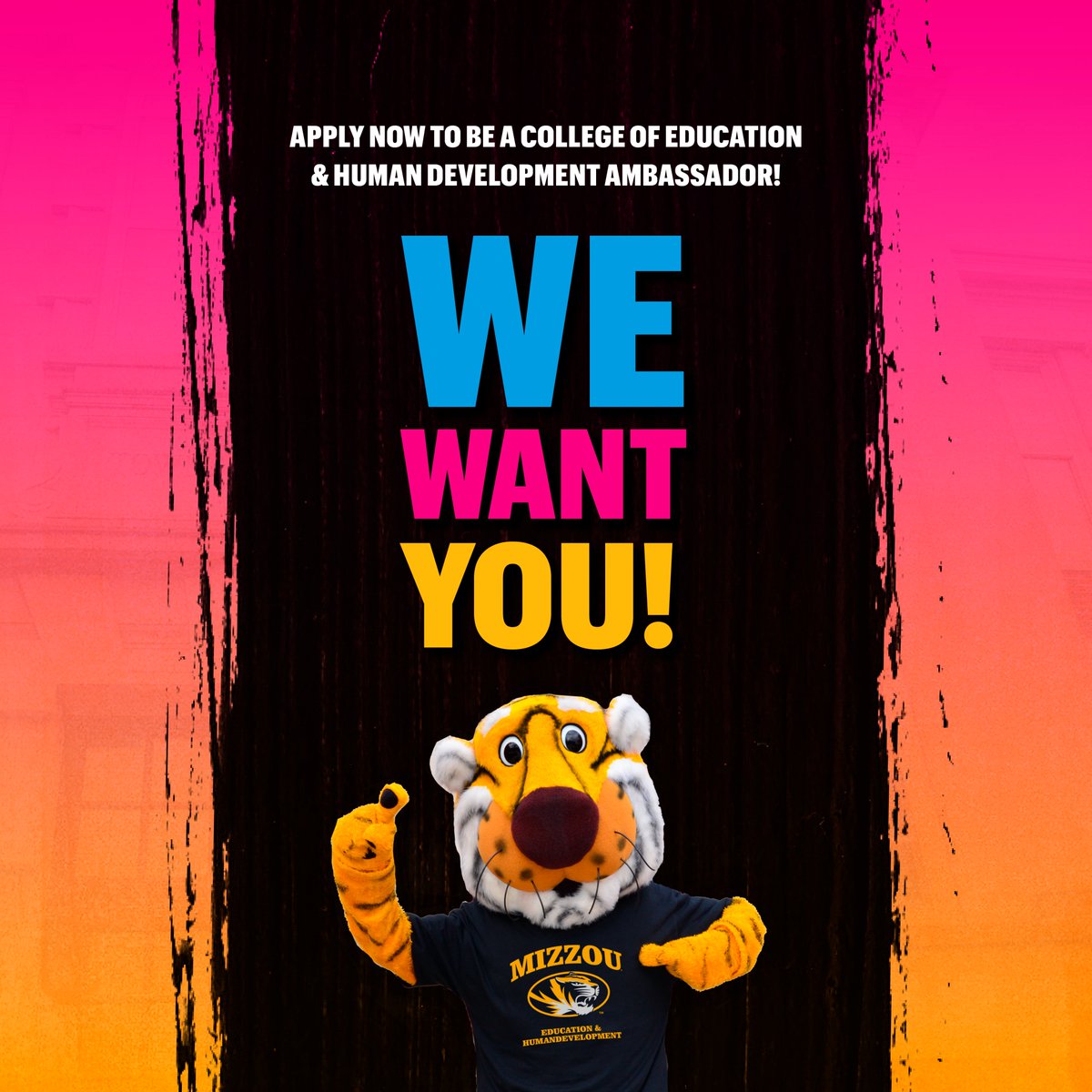 Mizzou Education & Human Development tweet media