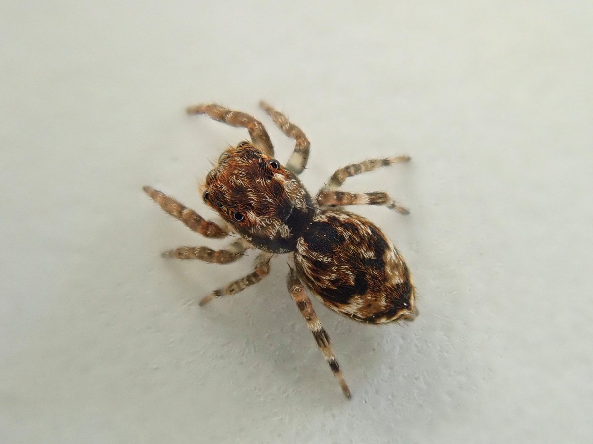 Tylan Berry tweet media