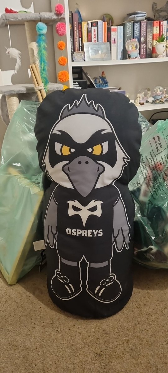 Does anybody want Ozzy? I was gifted him as a joke as he TERRIFIES me and I'm a Cardiff fan, not an Ospreys fan. He's been living under my bed for 5 years & it's time for him to find a new, loving home. If no one wants him, he'll go to a charity shop @OspreysSC @CardiffBluesSC