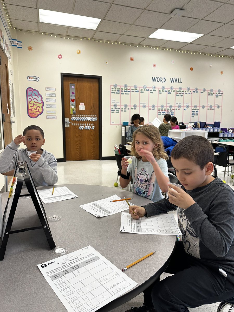 Christine Jang tweet media