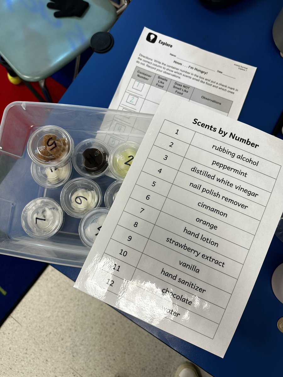 Christine Jang tweet media