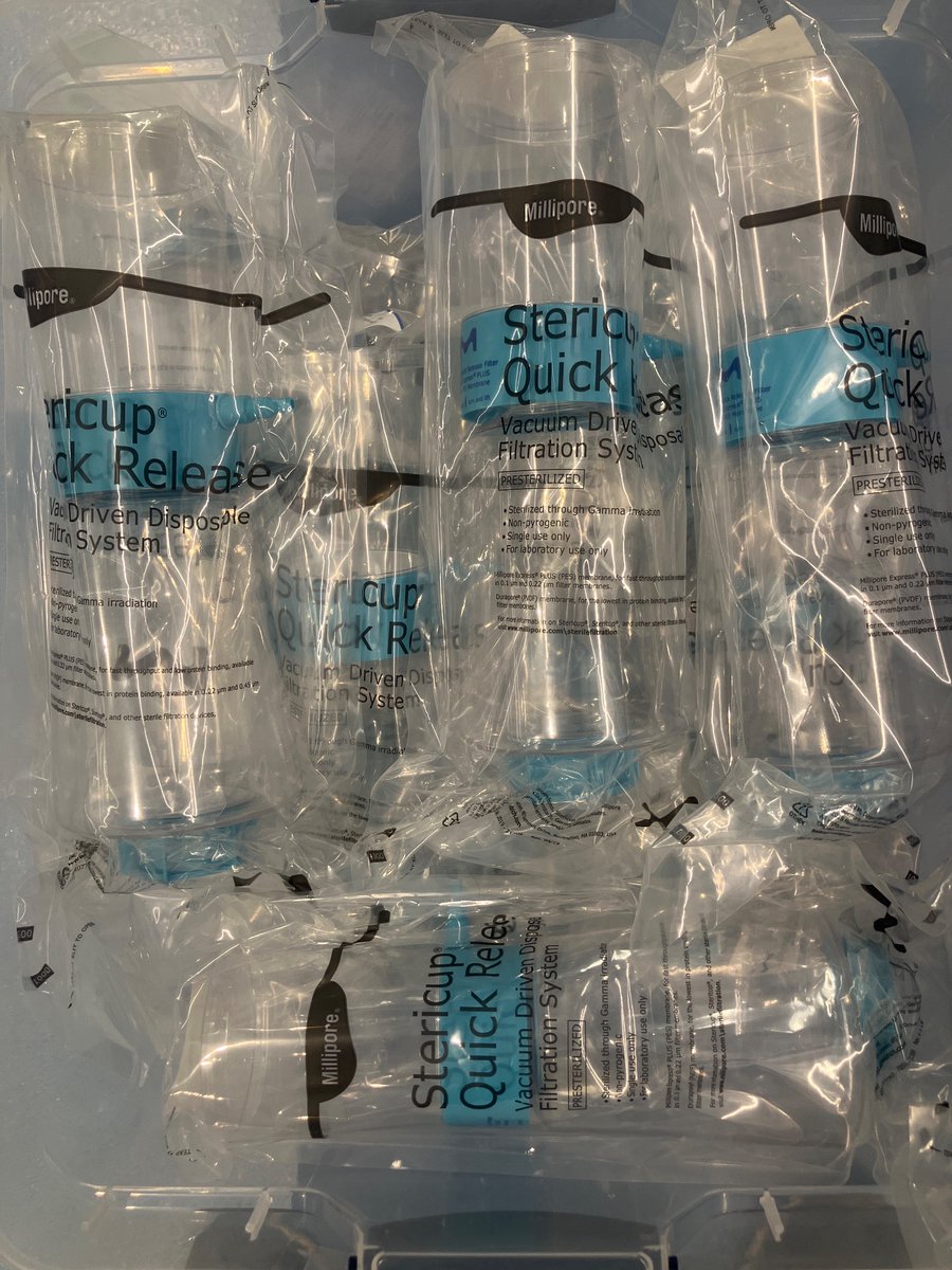 Romeo Trauma tweet media