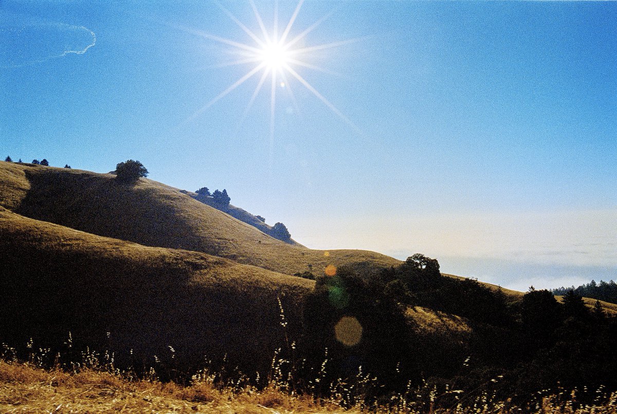 ckendallgarrett's tweet photo. last summer on portra 800 https://t.co/HIrDlTo1ws