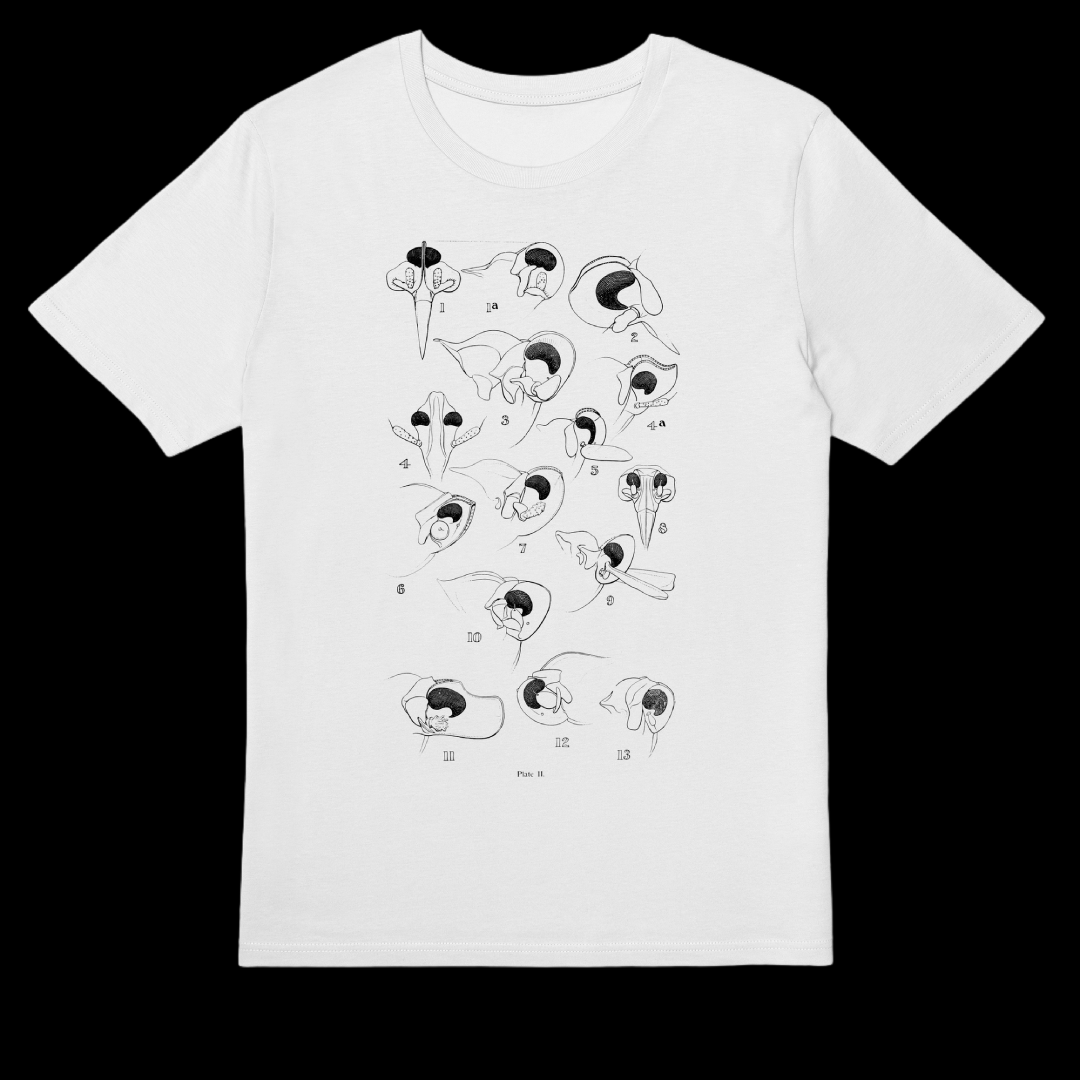 wildillustra's tweet photo. From the page in your hand, to the shirt on your back.

https://t.co/0AvmPHrPKU

#scientificbooks #vintagebiology #vintagebooks #tshirt #tshirts #weirdfashion #retro #retrostyle #teeoftheweek #clothing #clothingbrands #clothingbrandowner #insects #everpress #everpresshq https://t.co/Ze2j93kblD