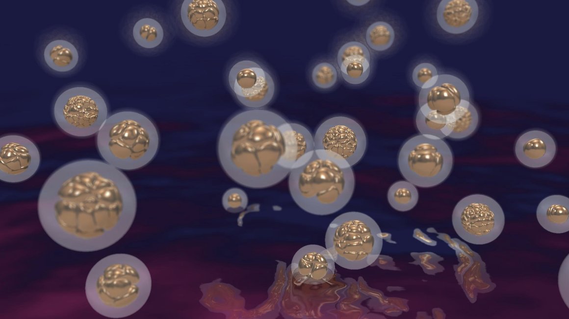 Art meets the science and ethics of human embryo research in Cambridge. Come and see the Precious Cells exhibition:
festival.cam.ac.uk/events/preciou…

<a href="/GurdonInstitute/">Gurdon Institute</a> <a href="/PET_BioNews/">PET</a>