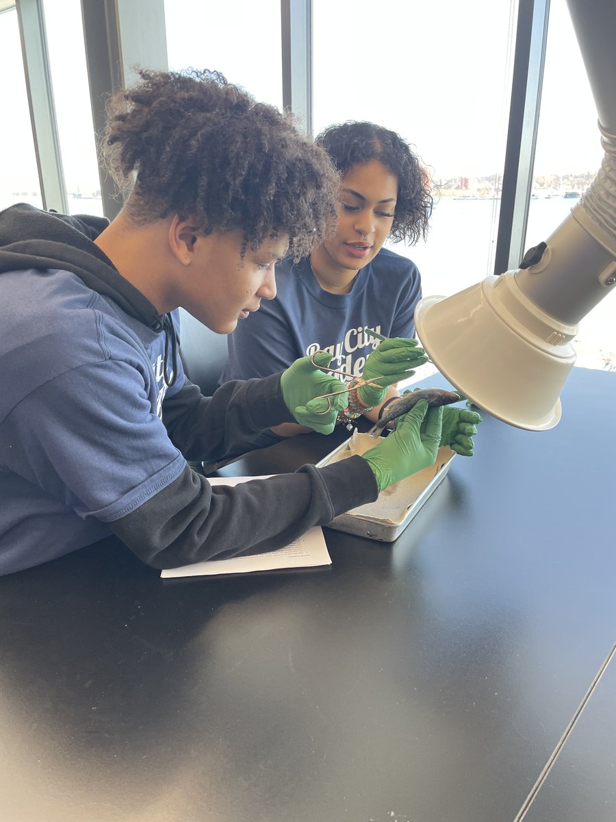 LSSU CFRE tweet media