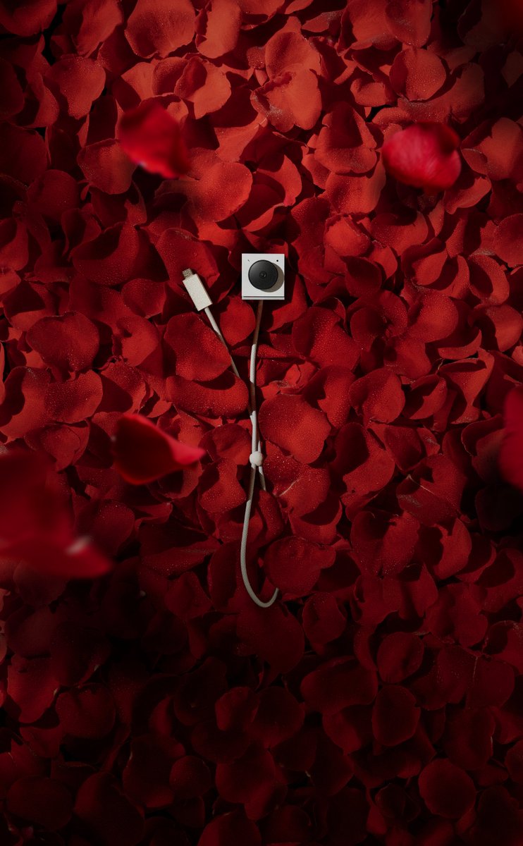 Opal Tadpole. Time to bloom. 
Small peek at the behind the scenes with <a href="/HugoAhlberg/">Hugo Ahlberg</a> at <a href="/opalelectronics/"></a>