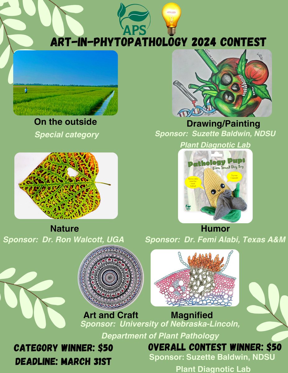 🎨✨ Join the APS Grad Student Committee’s Art-in-Phytopathology 2024 Contest! Showcase your creativity in plant pathology-inspired art 🌱🖼️. Win $50 + $50 bonus! Submit by March 31st: forms.gle/5DLhBiorarQnzu…. Act fast, show your originality! 🌟 
Deadline: March 21st, 2024!!!