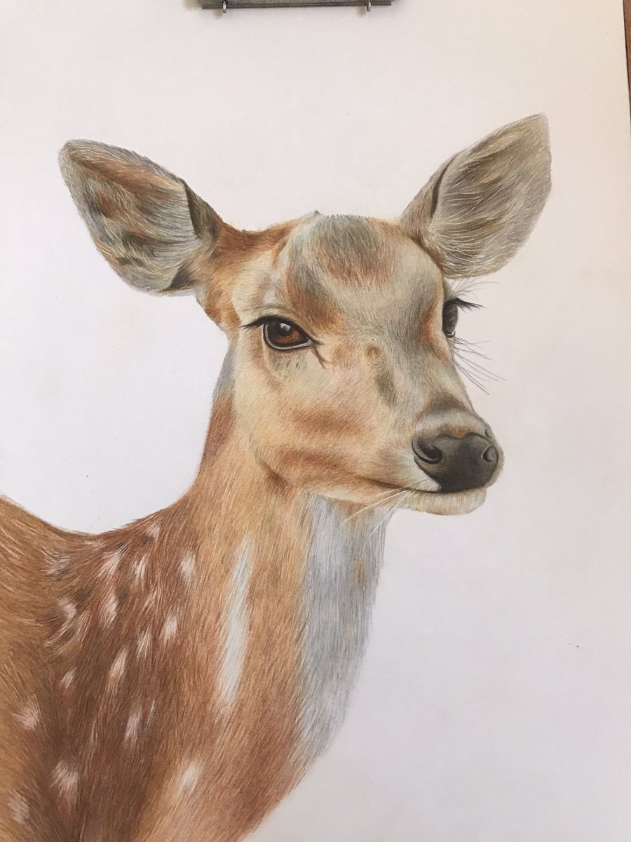 Leila_art9 tweet media