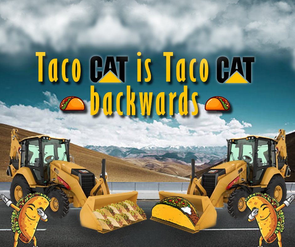 When #tacotuesday meets #palindrome perfection: 
‘Taco Cat’ – because even our food wants to be symmetrical! 🌮🐱🤣👷🏻‍♂️👍🏻

#tuesday #TuesdayThoughts #heavyequipment #construction #ConstructionLife #constructionequipment #Bossman #heavyequipmentoperator