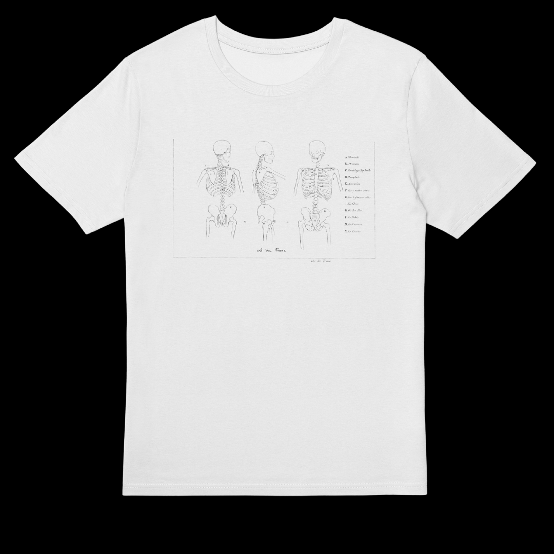 wildillustra's tweet photo. Os du trone 💀☠️💀

Premium Classic T-shirt
Made from 100% soft organic cotton, Fair Wear, Vegan and GOTS approved, and 180 gsm.

https://t.co/mSv74AeqBH https://t.co/3cvBzuXVit