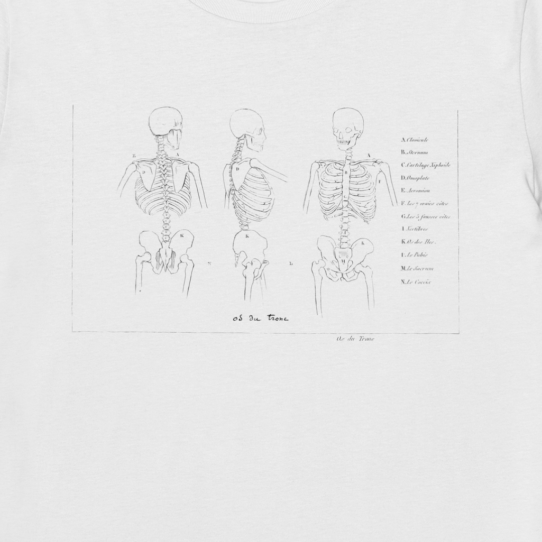 wildillustra's tweet photo. Os du trone 💀☠️💀

Premium Classic T-shirt
Made from 100% soft organic cotton, Fair Wear, Vegan and GOTS approved, and 180 gsm.

https://t.co/mSv74AeqBH https://t.co/3cvBzuXVit