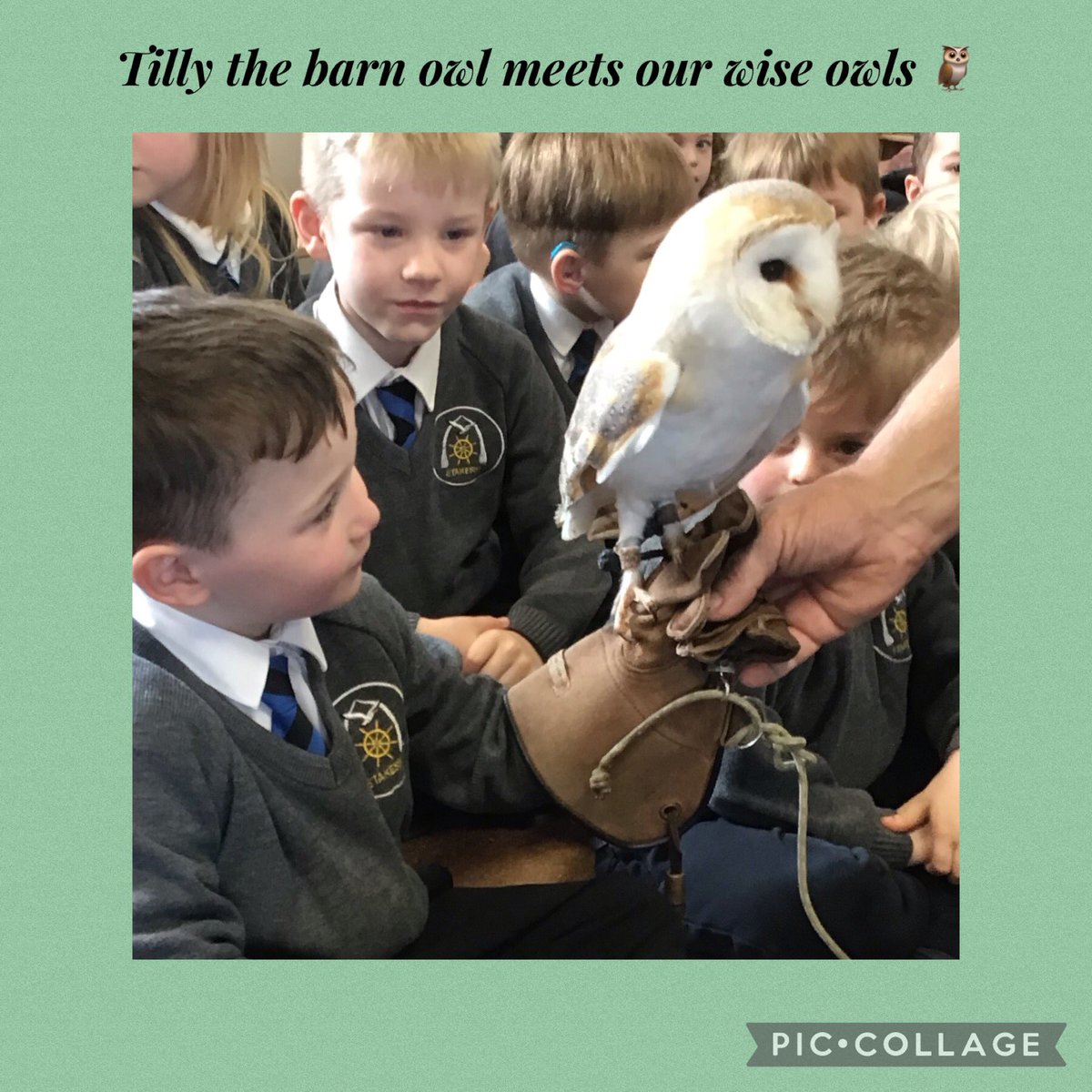 What a wonderful afternoon for our littlest learners <a href="/StakesbyAcademy/">Stakesby School</a>