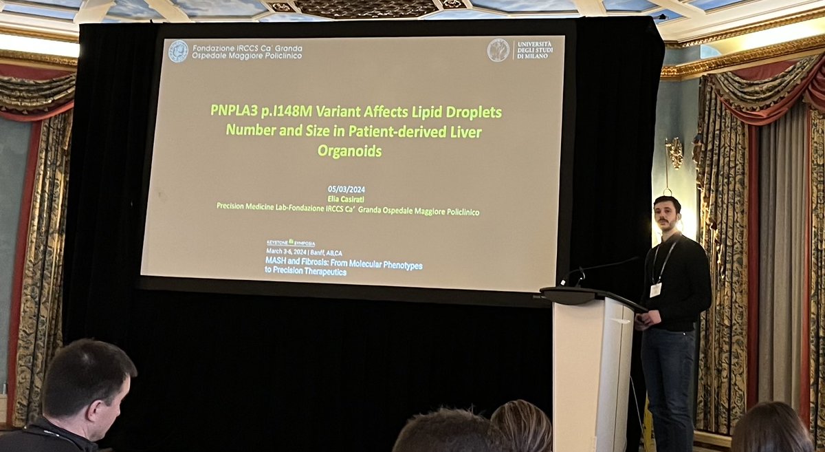 Elia Casirati presenting the modeling the impact of the PNPLA3 variant on #MASLD steatotic liver disease in human #liver #organoids #keystone meeting Banff ⁦@stefano_romeo76⁩ ⁦@NASH_and_coffee⁩ ⁦@gastaldelli_amy⁩ ⁦@AlinaAllenMD⁩ ⁦⁦⁦@SSookoian⁩