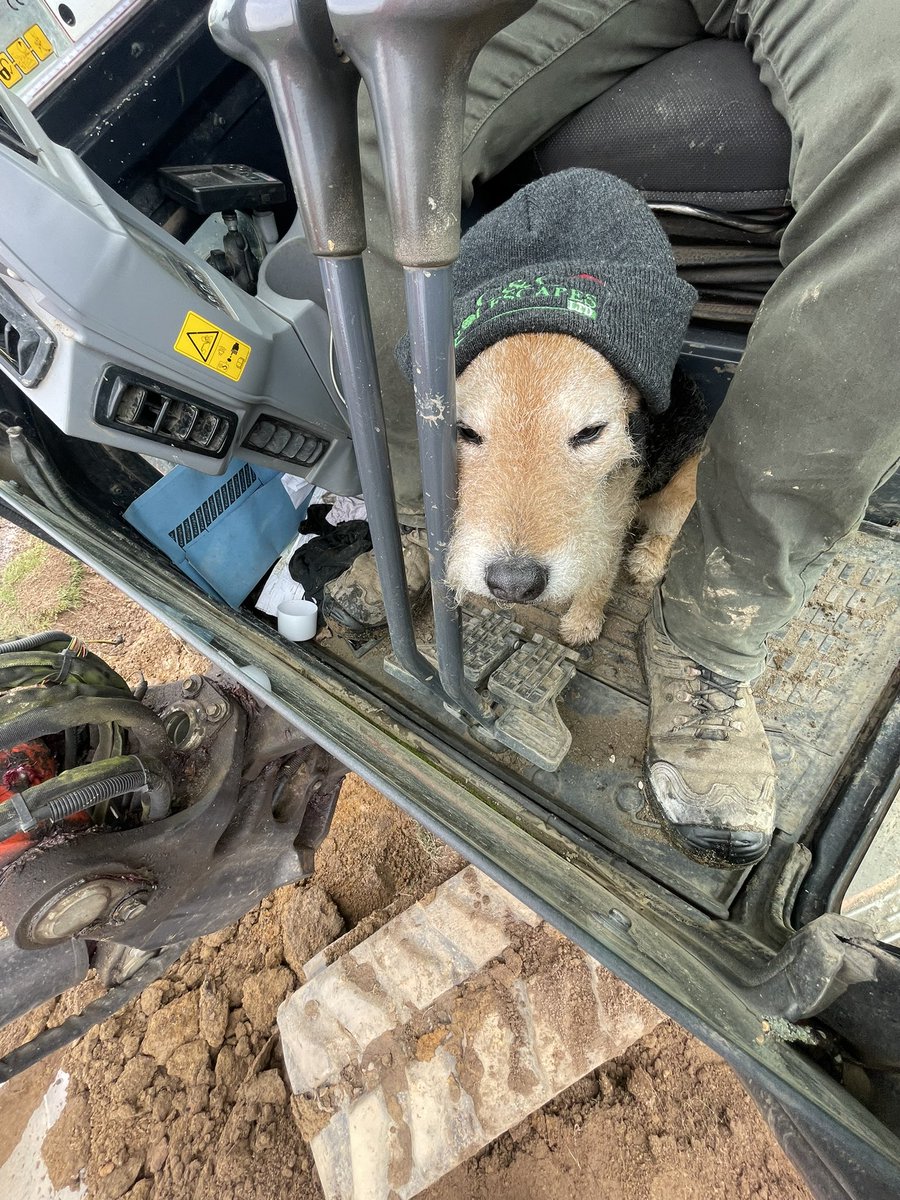 CCGolfscapes tweet media