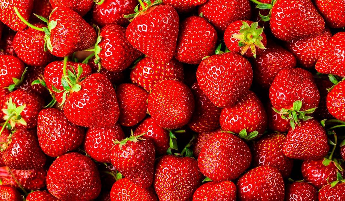 diariodeavisos's tweet photo. ⚠️⚠️ Alerta sanitaria en España por fresas con presencia de Hepatitis A que fueron regadas con aguas fecales https://t.co/cdiZ3glDhW https://t.co/pC23Z4bQsR