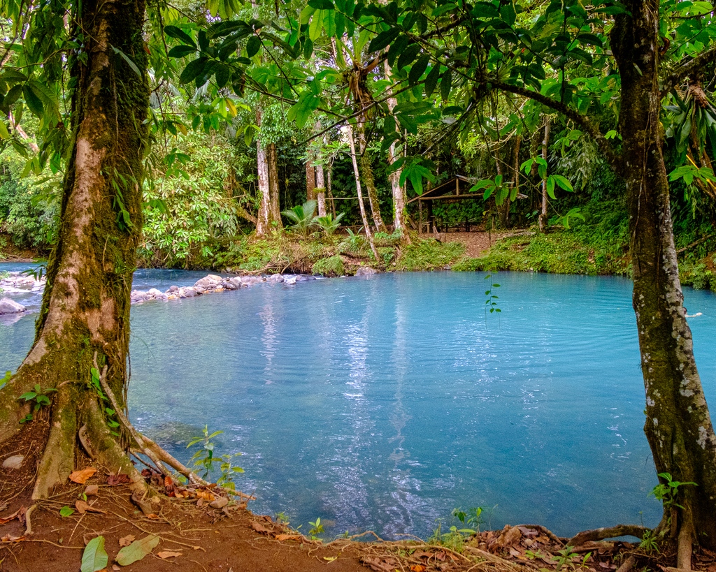 Wander about a quarter mile down a dirt road behind the Hotel Sueno Real and you'll come to this swimming hole. Yes, that's the incomparable Rio Celeste in Costa Rica. In the evenings, you'll likely have this spot all to yourself.  #visitcostarica #explorecostarica