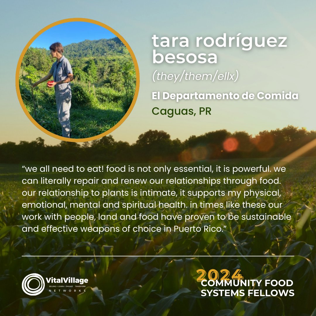 We're spotlighting tara rodriguez besosa this week. tara is the creative director and a co-founder of El Departamento De La Comida, a collective that acts as an alternative agency and facilitator in support of local, decentralized and small-scale food projects in Puerto Rico.