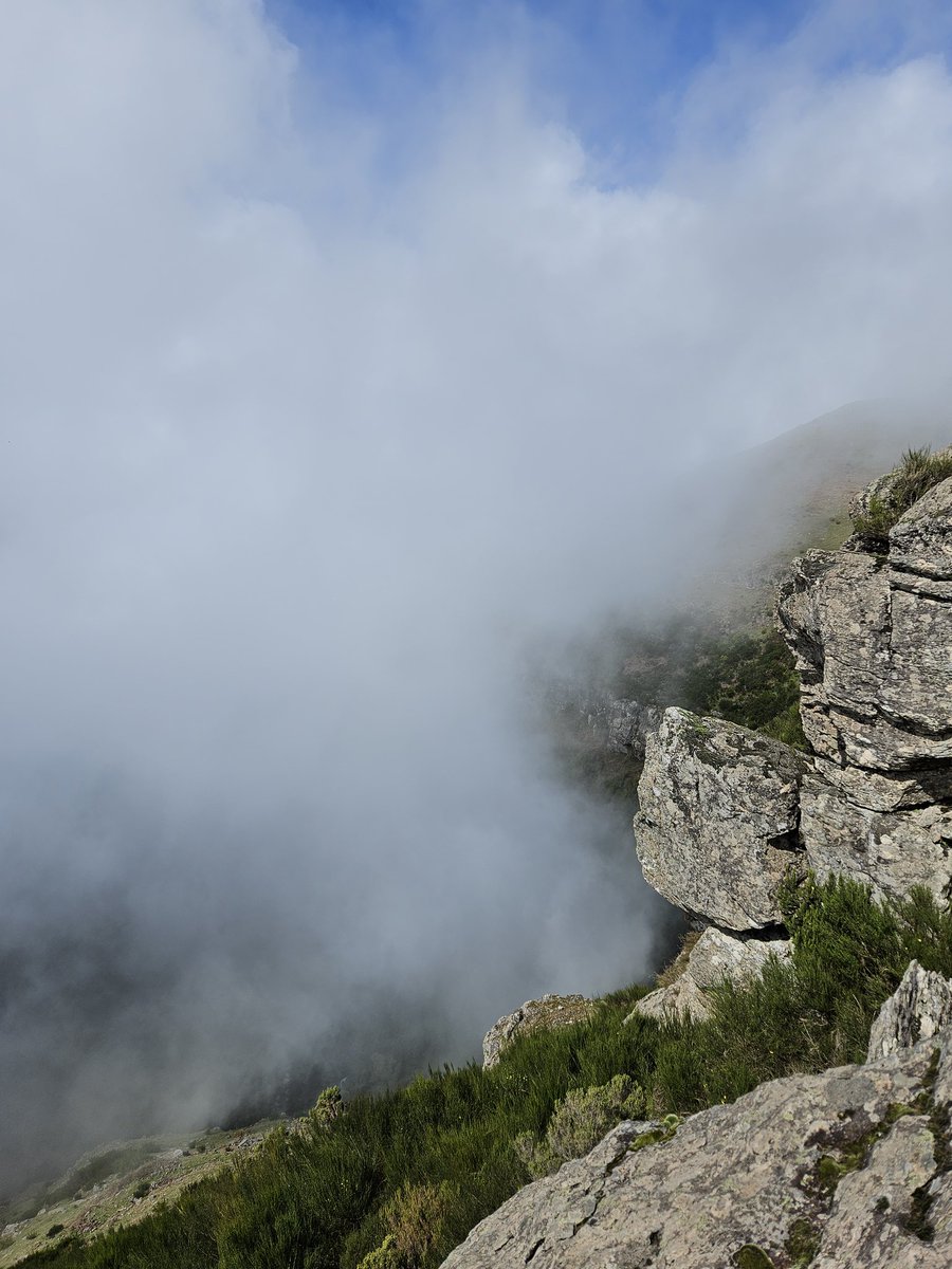 jeffreygwei tweet media