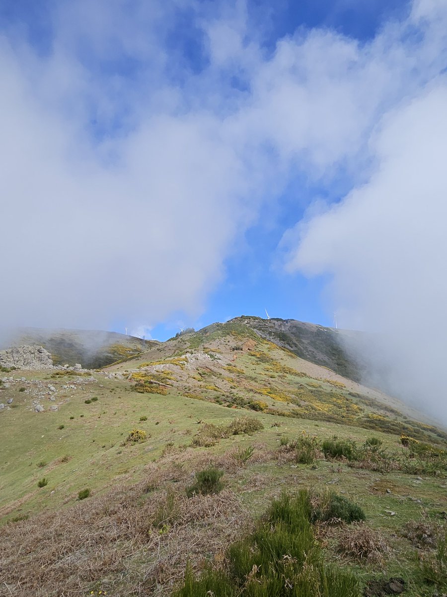 jeffreygwei tweet media