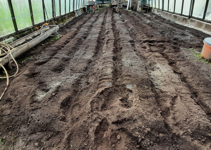 GoingPostalBlog's tweet photo. A View From (Inside) The Greenhouse; A Rift In The Political Continuum by @LordBriRobert1 - https://t.co/OUUaZ700EW
#Culture #Diary #Gardening #Hobbies #HumanInterest #Literature #Politics #Socialism #ColinCross #Islamism #LeftistExtremism #RuralLife #TheCentre #TheFabledFarRight