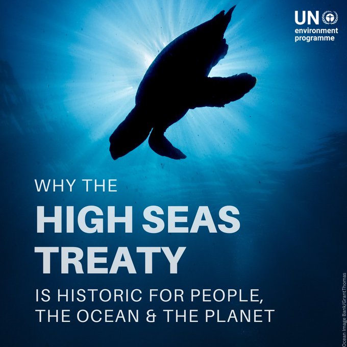 UNEP's tweet photo. The latest on the historic treaty designed to protect life in the high seas, which is increasingly under threat from pollution, climate change and over fishing, was highlighted in a special event at #UNEA6. 

Find out more about it in this Q&amp;A: https://t.co/8fiom4UNzL https://t.co/gMvLpWT1l8