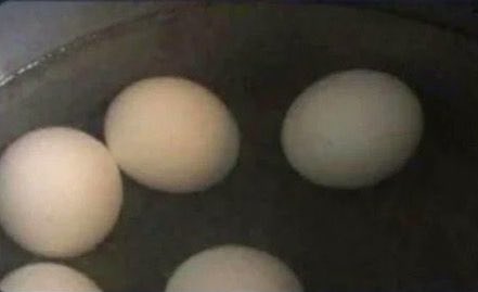 sublimethyart's tweet photo. waiter: what do you want?
me: can i get 10 eggs
waiter: really?
me: yea https://t.co/Fe9wzrSkp4
