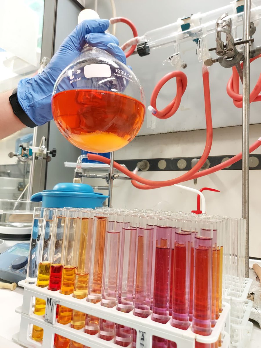 lab052's tweet image. A slightly more colorful column today! #photochemistry #purification #ruthenium