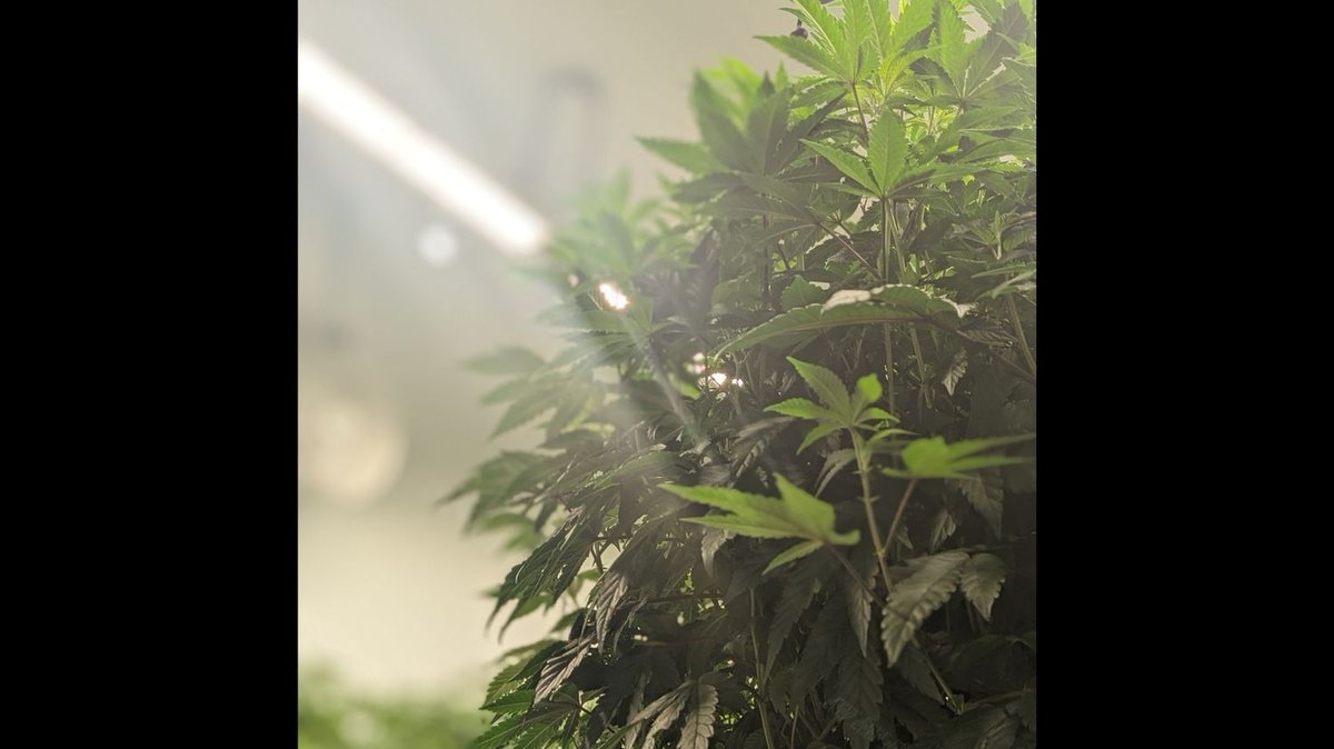 Our moms are lookin good!