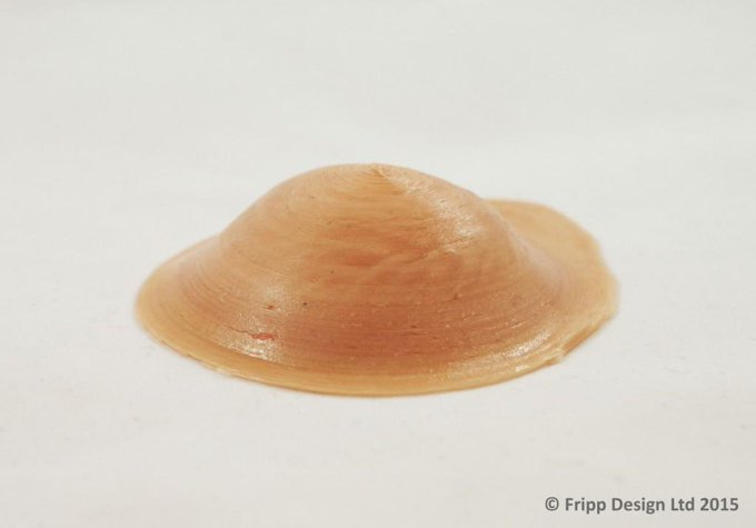 They have this type of implant too that&rsquo;s a 3D model being introduced in Queensland, Australia - that