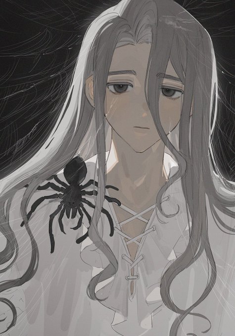 「spider web」 illustration images(Latest｜RT&Fav:50)