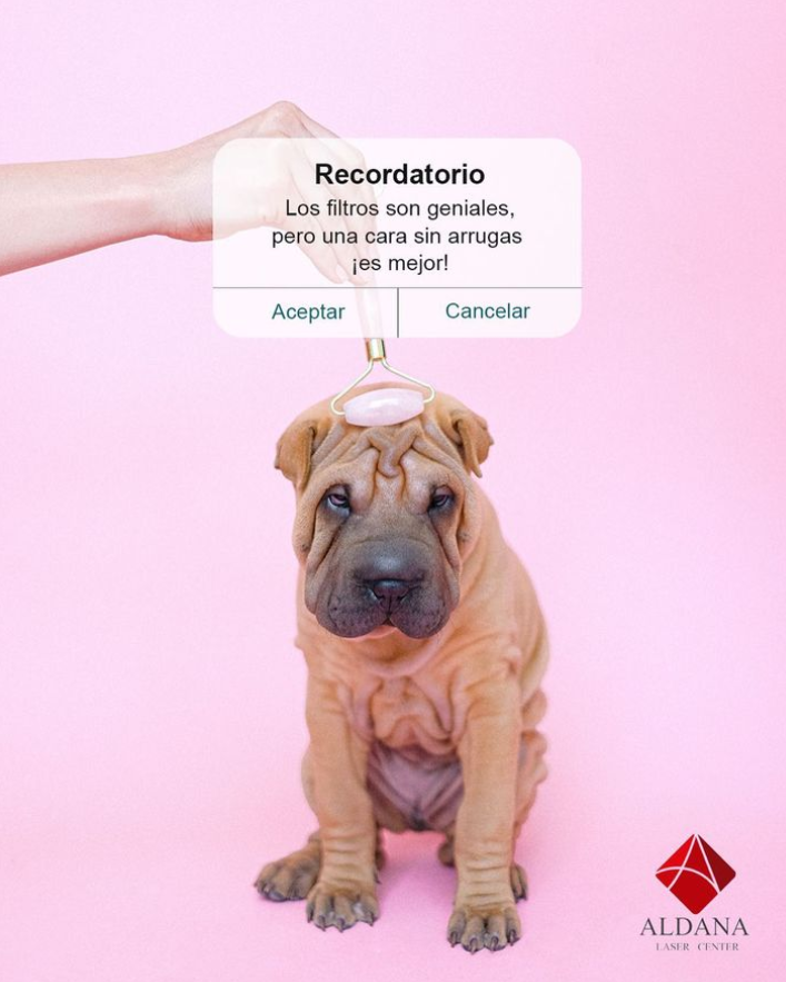 aldanalaser's tweet photo. Instagram y Facebook se cayeron peeeeero, no puedes dejar que a la piel de tu rostros le pase lo mismo, acude a tu evaluación facial y mejora la flacidez con nuestros protocolos #AldanaLaser https://t.co/nPHNqfesMS