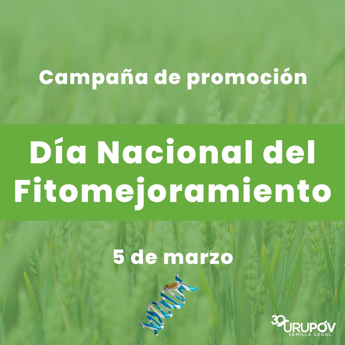 🇺🇾👉Desde #URUPOV estamos promoviendo el 5 de marzo como el "Día Nacional del Fitomejoramiento". 🧬🌾

#DíaDelFitomejoramiento #Fitomejoramiento #SemillaLegal #Uruguay