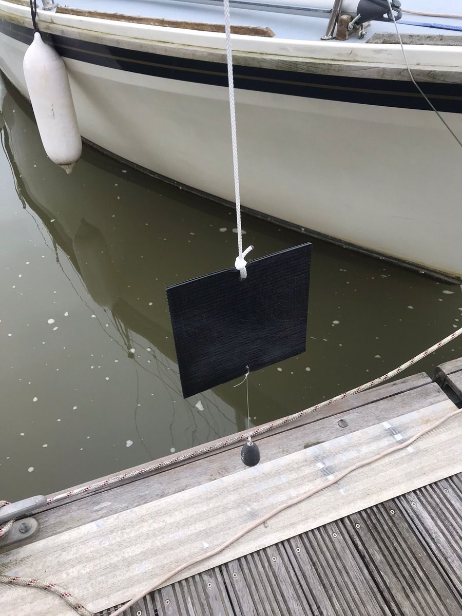 We’ve deployed settlement panels in @NewhavenMarina as part of our Invasive Non-Native Species (INNS) monitoring programme The submerged panels will be inspected every 8 wks to provide an early warning for new marine #INNS entering the catchment 🐚#RapidResponse @EnvAgencySE