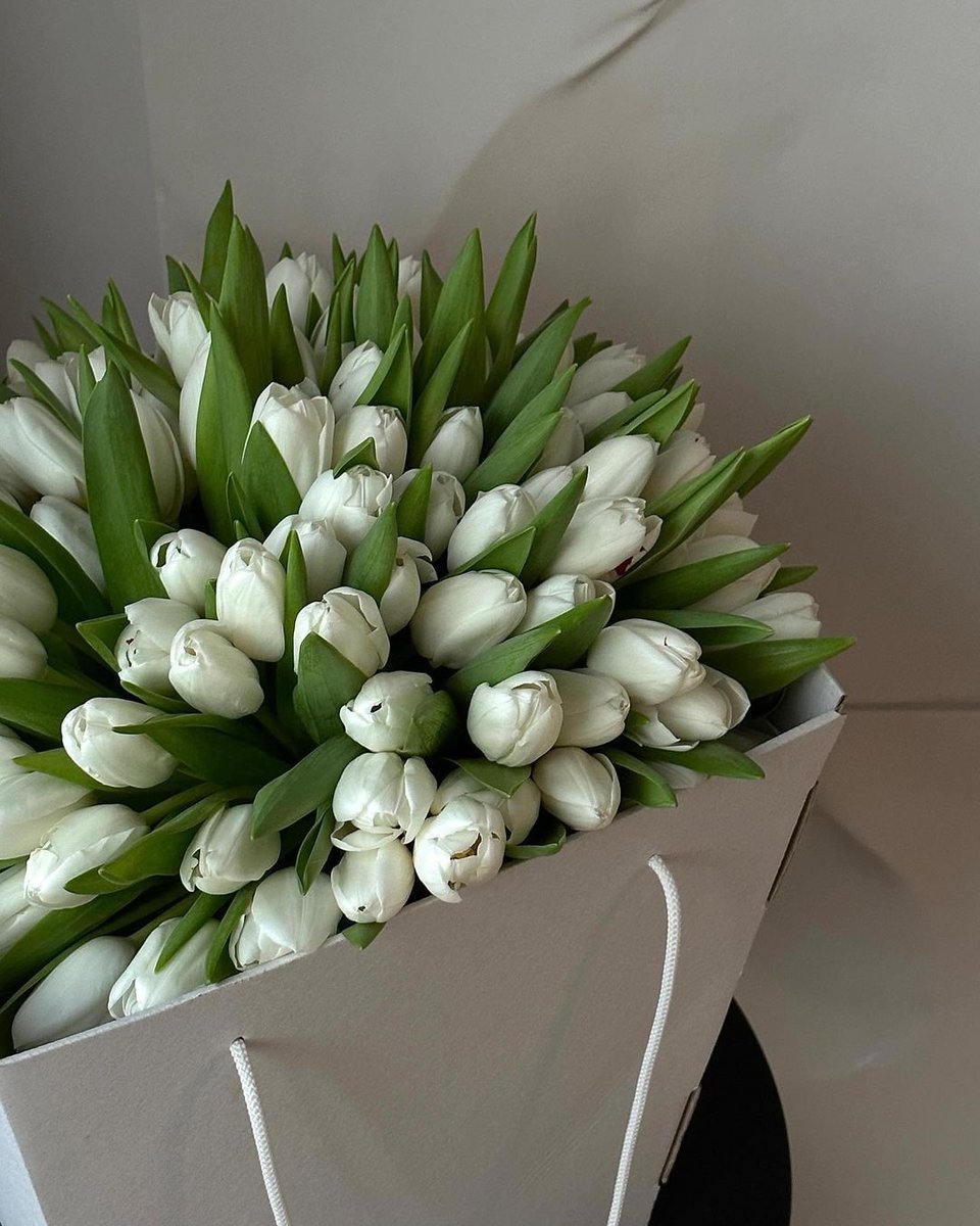 AlexOfKent's tweet photo. https://t.co/adak8a85sH https://t.co/1Bh3QheU7k