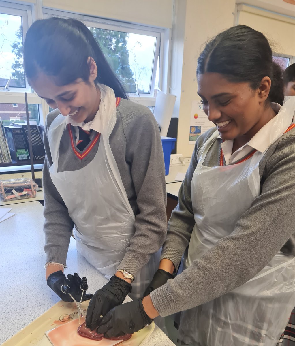 Science | St John's College, Cardiff tweet media