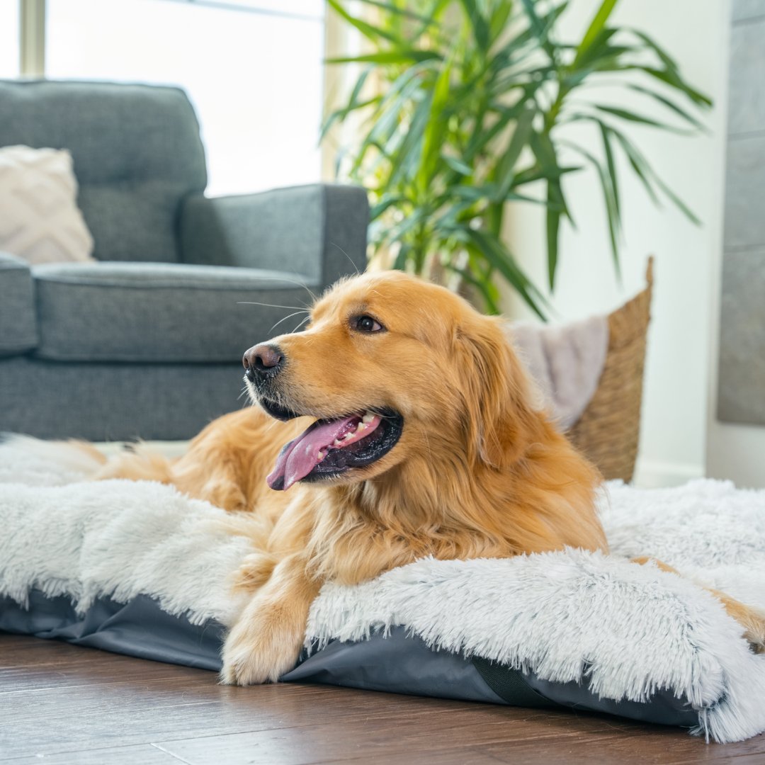 Best Friends by Sheri tweet media