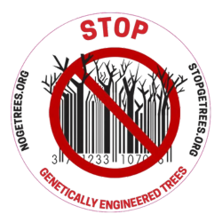 GJEP123's tweet photo. Visit the Stop GE Trees website at https://t.co/NWKjjmy3fj #stopgetrees #geneticallyengineered #trees https://t.co/oGEbtAPc1j