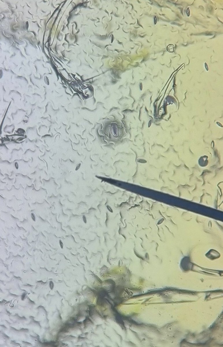 MrCharters tweet media