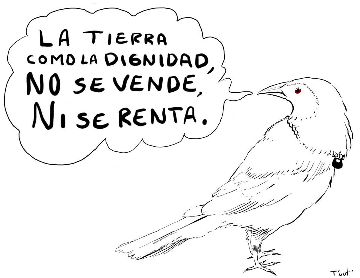 📣🌱𝐋𝐚 𝐓𝐢𝐞𝐫𝐫𝐚 𝐜𝐨𝐦𝐨 𝐥𝐚 𝐃𝐢𝐠𝐧𝐢𝐝𝐚𝐝 
𝐍𝐎 𝐒𝐄 𝐕𝐄𝐍𝐃𝐄, 𝐍𝐈 𝐒𝐄 𝐑𝐄𝐍𝐓𝐀.
Dibujo: Aldair T'uut'
 Sección Yúuntun
asambleamaya.wixsite.com/muuchxiinbal/y…
 Descargar:
drive.google.com/file/d/1ySdIq6…